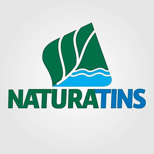 logo naturantins to